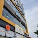폴라기구필라테스