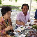 잣미 이미지