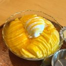 달브로 네이버블로그