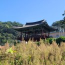 단성보건지소 이미지