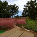 신흥근린공원 이미지