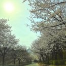 예사랑 막국수 이미지