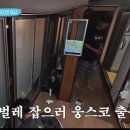 벌레도 잘 잡는 상남자👍🦋(ft.섬총각영웅 예고) 이미지