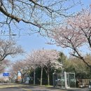 서호호근로 이미지