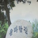 죽장마을(솔다박마을) 이미지