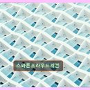 프라우드7학원 | 분당 맞춤형 영어교육 스와튼프라우드세븐 수업 체계가 인상적이었어요
