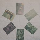 OS메디칼 | 아로마티카 아로마 테라피 워크숍(3기) 1주 차