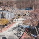 충주풍경펜션 | 충주 독채펜션 방문 후기 한적하게 쉬고 온 우리 가족 이야기