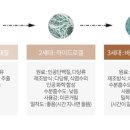 루루바이오