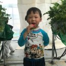 바람개비 딸기학교 이미지