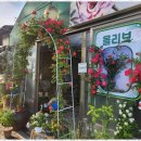 우리꽃집&카페 이미지