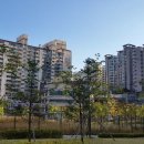 삼호아파트_동 이미지