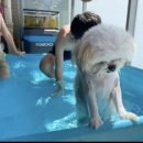헤어오아오 이미지