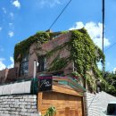 서리풀6길 22 | [공지] [성장앨범] 해든 스튜디오 - 베이비리베 강남점 만삭 &amp; 50일 촬영 후기 (내돈내산)