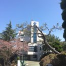 부산보건진료소 이미지