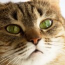 송은메디칼 이미지