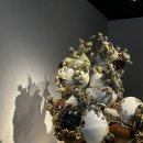 장미관문 이미지