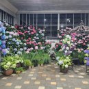 꽃내린영농조합법인 이미지