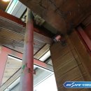 뽀끼뽀꼬 이미지