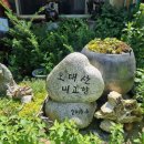 칡소폭포캠핑장식당