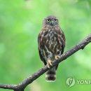 주왕산공원 관리사무소 이미지