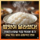 진선찜전문점 | 천혜진선향쌀 직접 먹어본 후기｜밥맛이 달라졌다