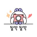 그레잇 벌스 이미지