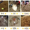 예랑유치원 이미지