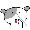보그헤어춘천퇴계점
