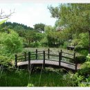 안면도자연휴양림 이미지