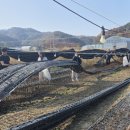 금산군청 이미지