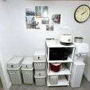 스테이더문 이미지