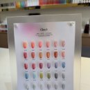 둔산중로-19 이미지