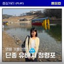 청령포관광안내소 | 영월 청령포 오픈런 해야 하는 이유