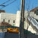 용마산 자락길 코스 Daum카페
