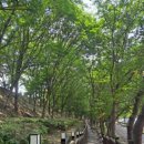 무궁화공원화장실(운동장) 이미지