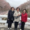 보성고 54 신춘모임 축하공연 이미지