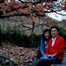 김미김미 이미지