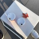 안경기업 가평점 | 물멍 중독, 가평 골든트리, 코오롱 ai역검, 운전연수 4회차 완료