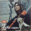 영화 탈출 프로젝트 사일런스 후기 강아지는 건들지 말 것