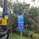 강변자전거길 2 | 남양주 가볼만한곳 물의정원 코스모스 황화코스모스 깡통열차 전기 자전거 대여 후기