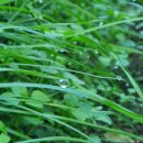 소랑다래랑 이미지