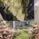 다르미앙 이미지