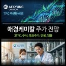 애경케미칼(주) 청양1공장 - 15044 | 애경케미칼 주가 전망 - TPC에 의한 증권가 목표주가