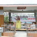 분도와안나개미꽃동산 이미지