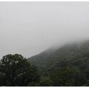 덕동골캠핑장 이미지