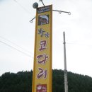 황금코다리 고창점 이미지