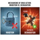 신성바이오 이미지