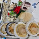 벽란도횟집 | [군산 여행] 군산 바다 뷰 횟집🐟 제대로 즐기고 온 벽란도 횟집 솔직 후기