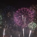 파랑새 | 부산 불꽃 축제 2025 파랑새투어 무박여행 다녀온후기